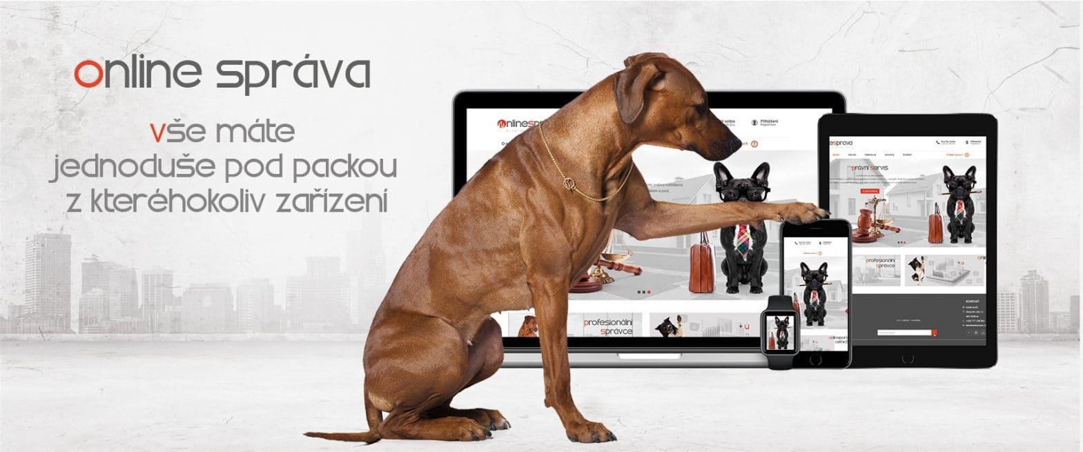Online správa pro SVJ a bytové domy v Brně